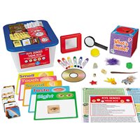 Five Senses Theme Box